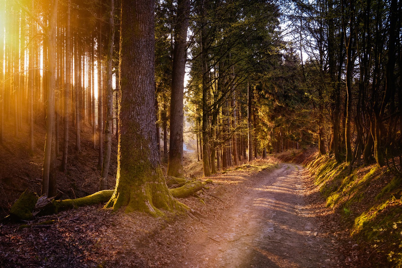 Luce calda e luce fredda: come scegliere quella giusta?